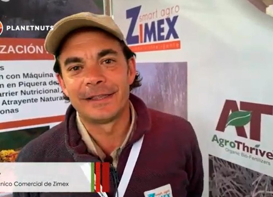 ENA 2023 Iniciativa de Zimex para el crecimiento y sustentabilidad del avellano